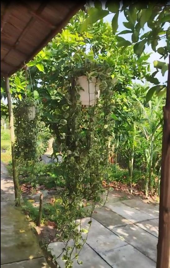 BÁN ĐẤT KHU LÀNG HOA SA ĐÉC- THỔ CƯ BAO LA