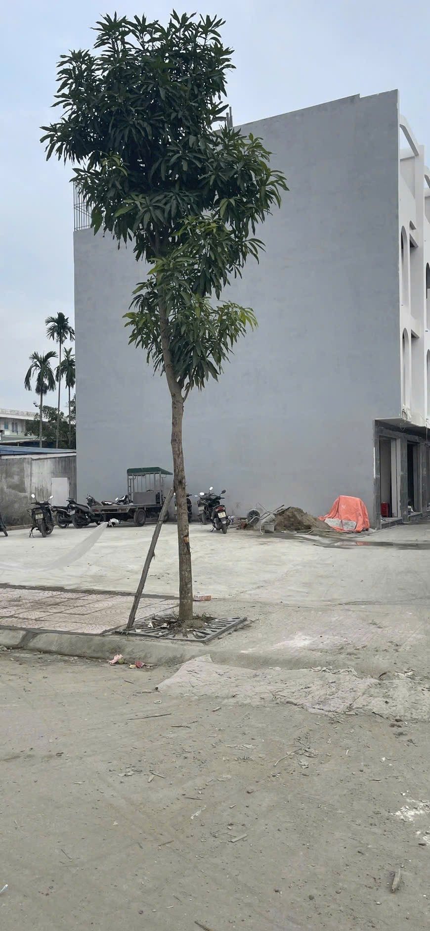 🔥 BÁN LÔ ĐẤT CẠNH TĐC XI MĂNG – SỞ DẦU – HỒNG BÀNG 🔥60m² chỉ 70,5tr/m² (~4,23 tỷ) 📞 LH 0398787284