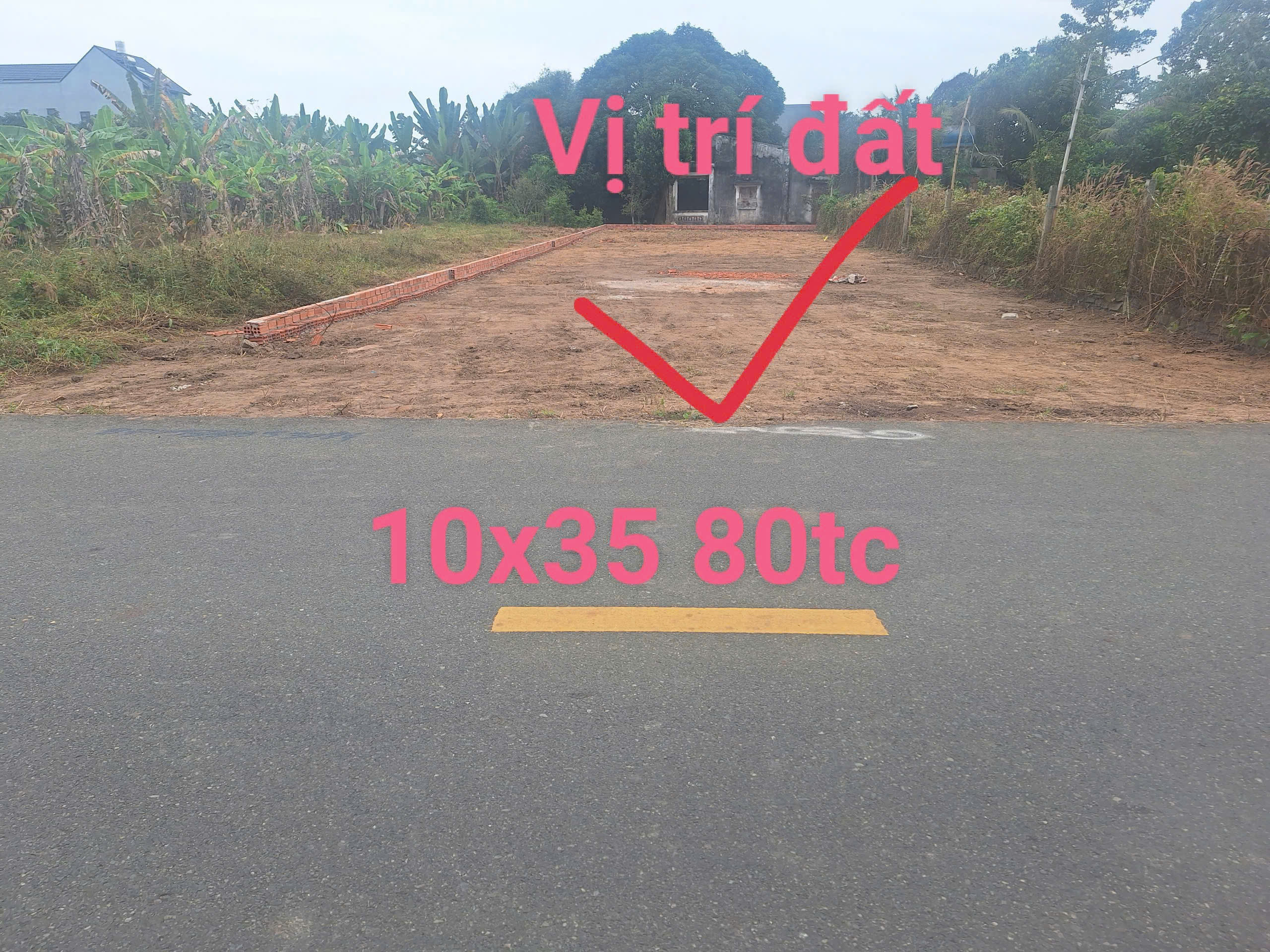 Bán đất 382.6m² có sẵn 80m² thổ cư ngang 10m giá 2.75 tỷ tại Phường Tam Long