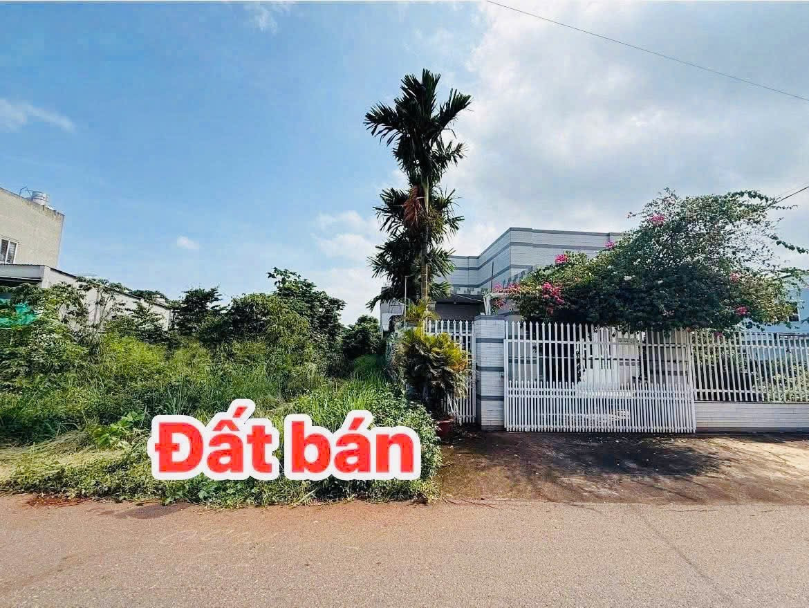 Bán đất 100m² full thổ cư ngang 5m giá 1.8 tỷ tại Phường Tam Long