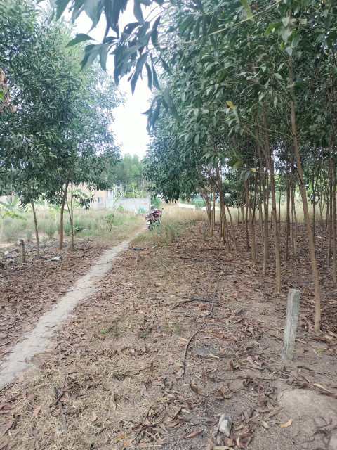 Bán nhanh lô đất 471m2 quy hoạch full thổ cư đường xe container sổ riêng.