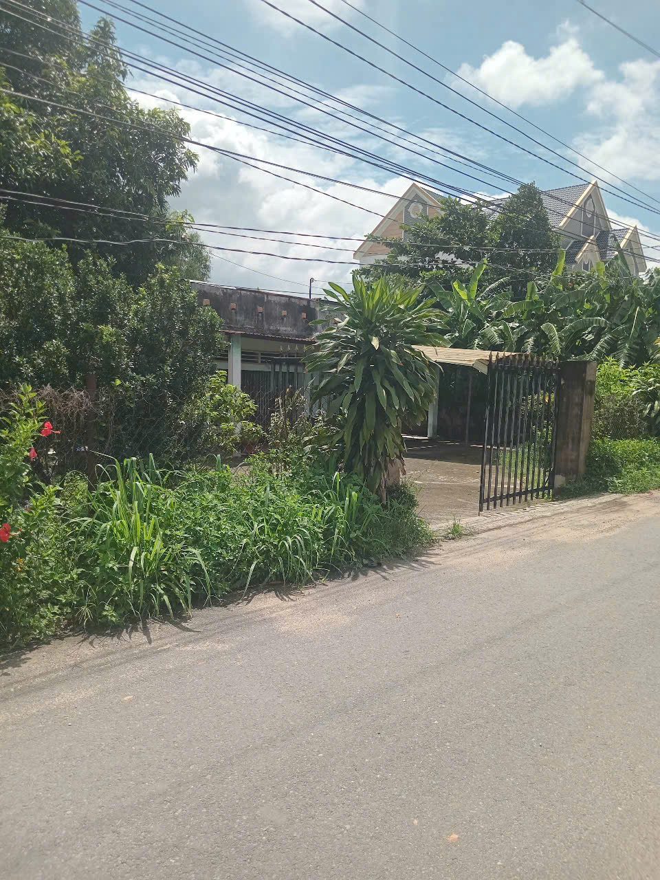 Bán Đất Tân Định ,Tphcm ,3tỷ3xx – có hỗ trợ vay bank 10x35 Tdt 350m²