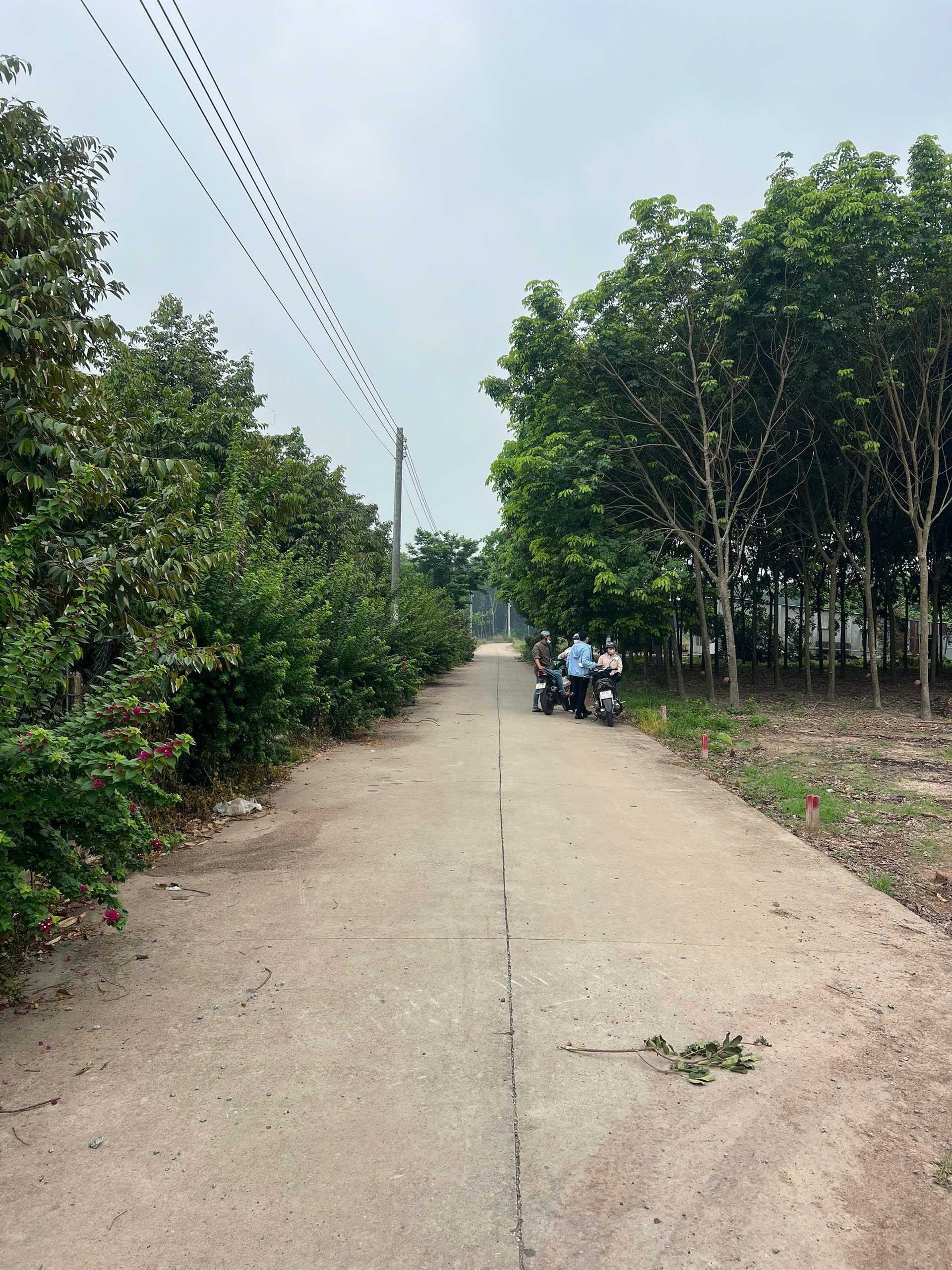 Cần bay lô Đất 200m² thổ cư 80m² giá 700 triệu tại Phường Tân Đông Hiệp TP. Hồ Chí Minh