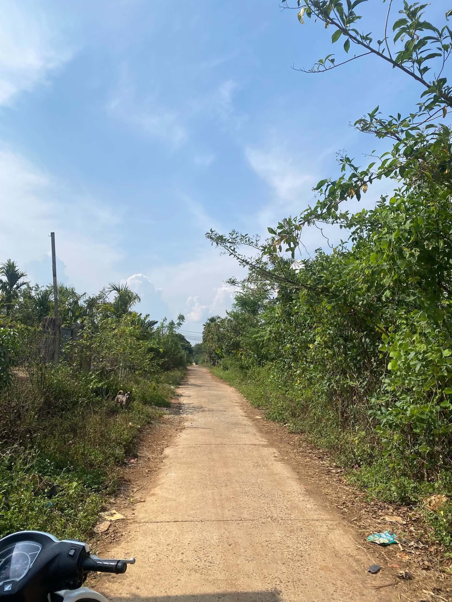 Chủ ngộp xả lô komleo rẻ nhất thị trường