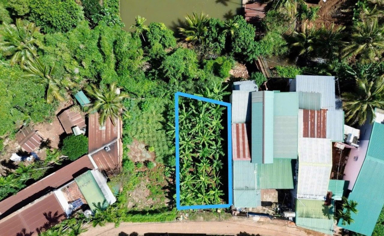 Bán đất 196.3m² ngang 10m giá 3.15 tỷ tại Phường Tân Lập Thành phố Buôn Ma Thuột