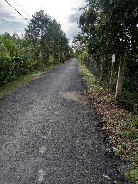 Bán đất 1802.2m² ngang 15.7m giá Phường Tân Ngãi