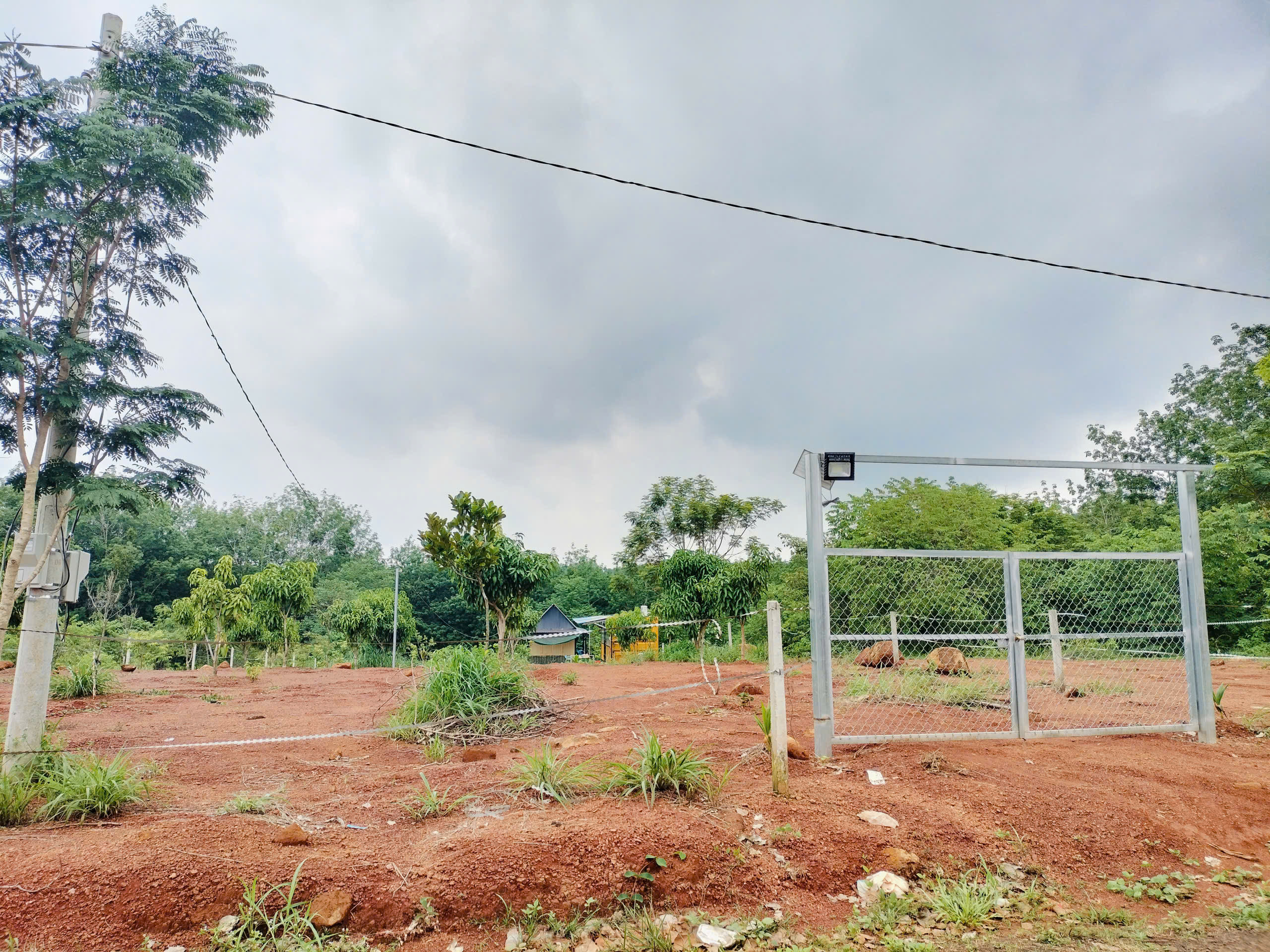 Bán Đất 200m2 có sẵn 100 m2 thổ cư giá 250 triệu tại - Chọn - Phường Tân Phú Thành phố Đồng Xoài Bình Phước