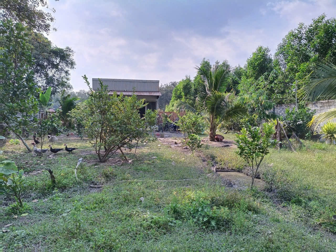 Nhà Vườn Bình Lợi Vĩnh Cửu. Diện tích : 1000m. Đường ô Tô . Chỉ 2Tỷ5