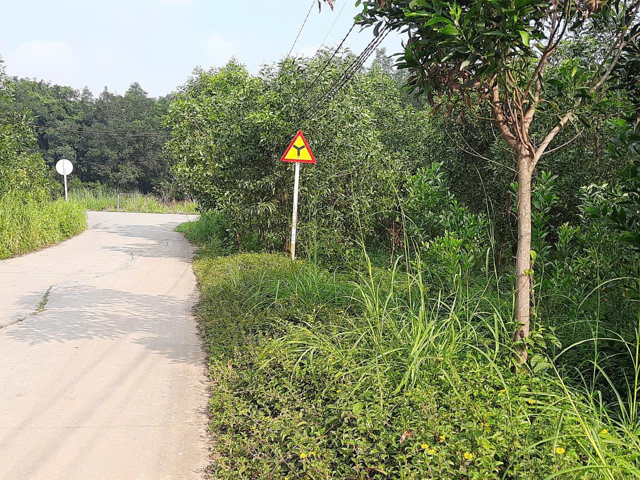 Bán đất 377.8m² có sẵn 200m² thổ cư ngang 23m giá 1.69 tỷ tại Phường Tân Uyên