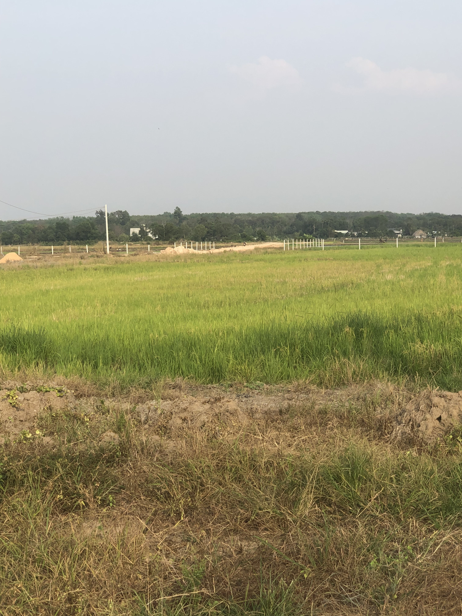 Bán đất 5844.1m² giá 11 tỷ Phường Tây Nam