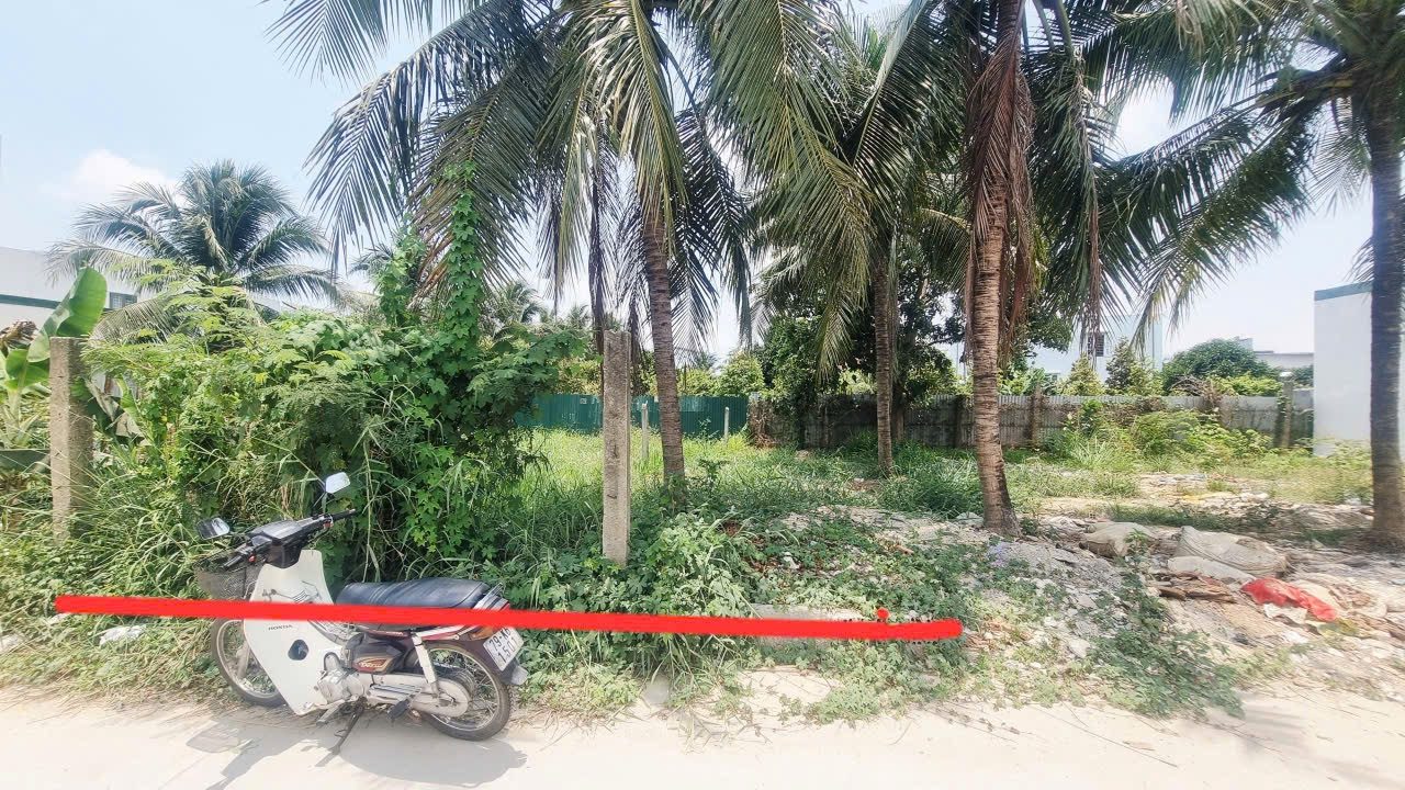 Chủ thiện chí muốn bán nhanh lô đất Vĩnh Ngọc – P. Tây NT
– đường hiện trạng 4,5m ô tô thẳng đến đất, sau qh sẽ thành 2 mt, khu dân cư hiện hữu
–️ Dt: 85m2 (thổ cư 77,3m). Ngang 5m dài 17m
– Hướng bắc lệch đông
– pháp lý sổ hồng chuẩn chỉnh, mua bán s
