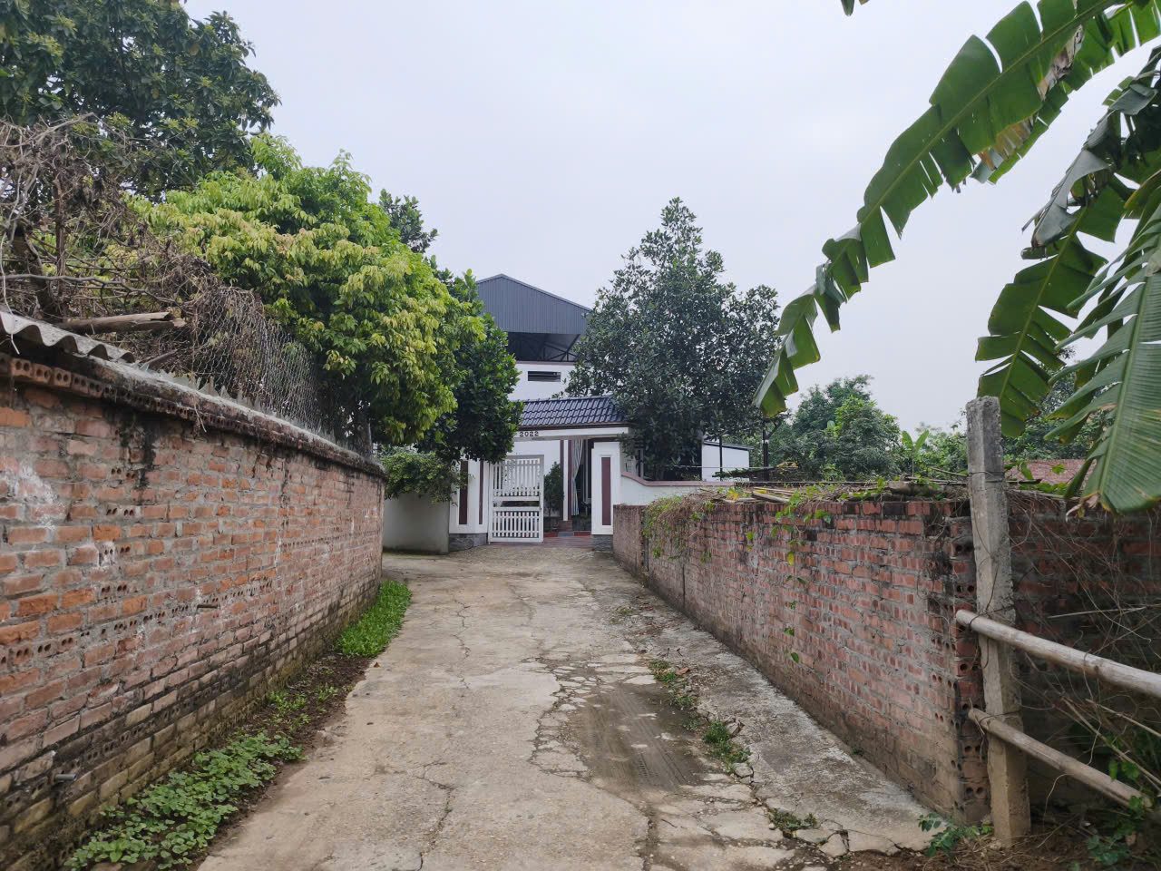 Bán đất 99.3m² có sẵn 96m² thổ cư ngang 4.8m giá 1.78 tỷ tại Phường Thanh Miếu