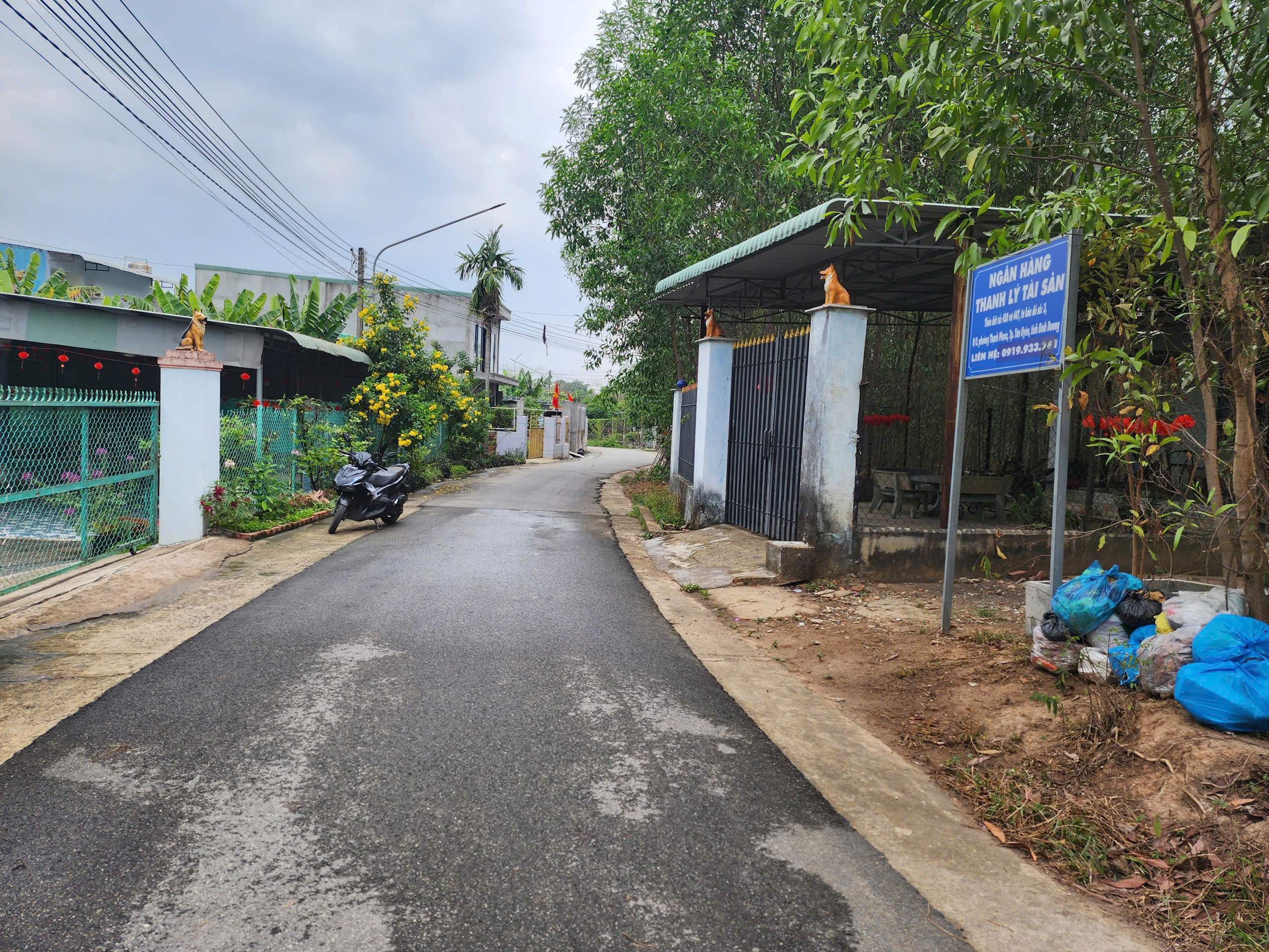 CẦN ĐẨY NHANH 503M² ĐẤT ĐƯỜNG NHỰA 6M - P. THẠNH PHƯỚC, TP. TÂN UYÊN