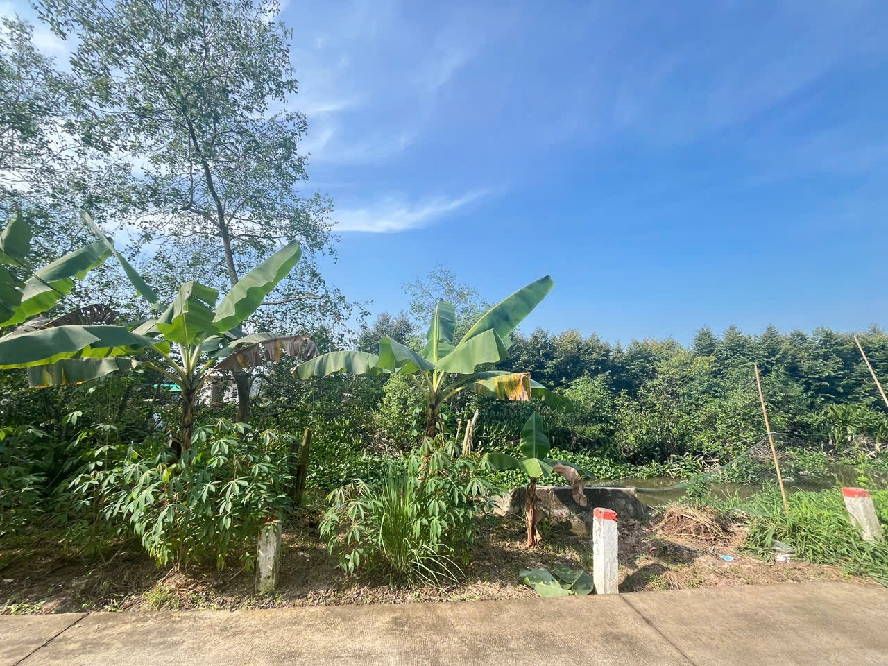 🏠BÁN HƠN 13 CÔNG ĐẤT LỘ Ô TÔ CÁCH TRUNG TÂM CẦN THƠ 7KM, THUỘC THỚI AN ĐÔNG, BÌNH THUỶ, CẦN THƠ