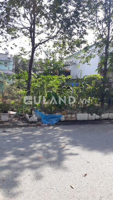 Bán đất thổ cư 150m² , giá 1.65 tỷ tại, Phường Thới Hòa, Thị xã Bến Cát, Bình Dương