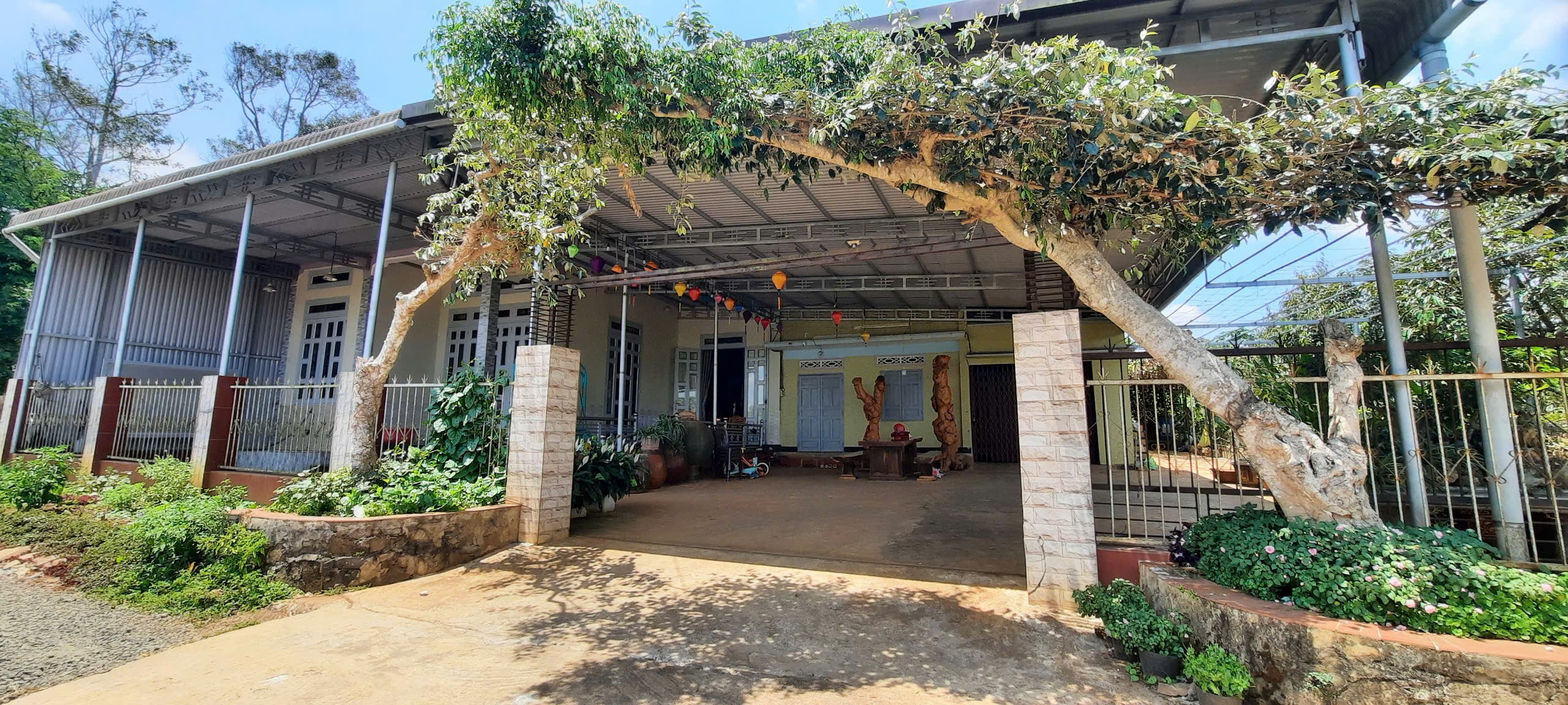 Nhà đất thông nhất. Buôn hô. Daklak