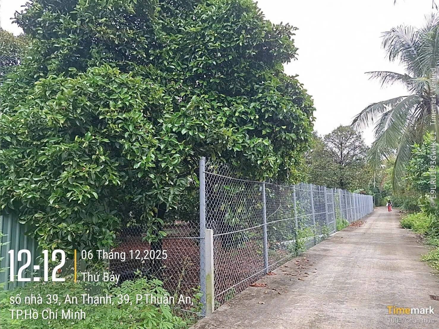 Bán đất 1556m² có sẵn 460m² thổ cư ngang 18m giá 17 tỷ tại Phường Thuận An
