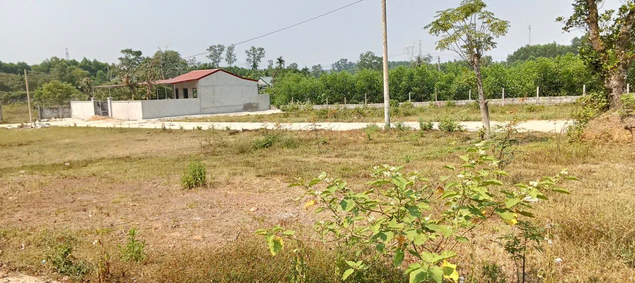 ĐẤT NỀN THÀNH PHỐ HUẾ,ĐƯỜNG DẠ LÊ PHƯỜNG THANH THỦY GIÁ 531TR