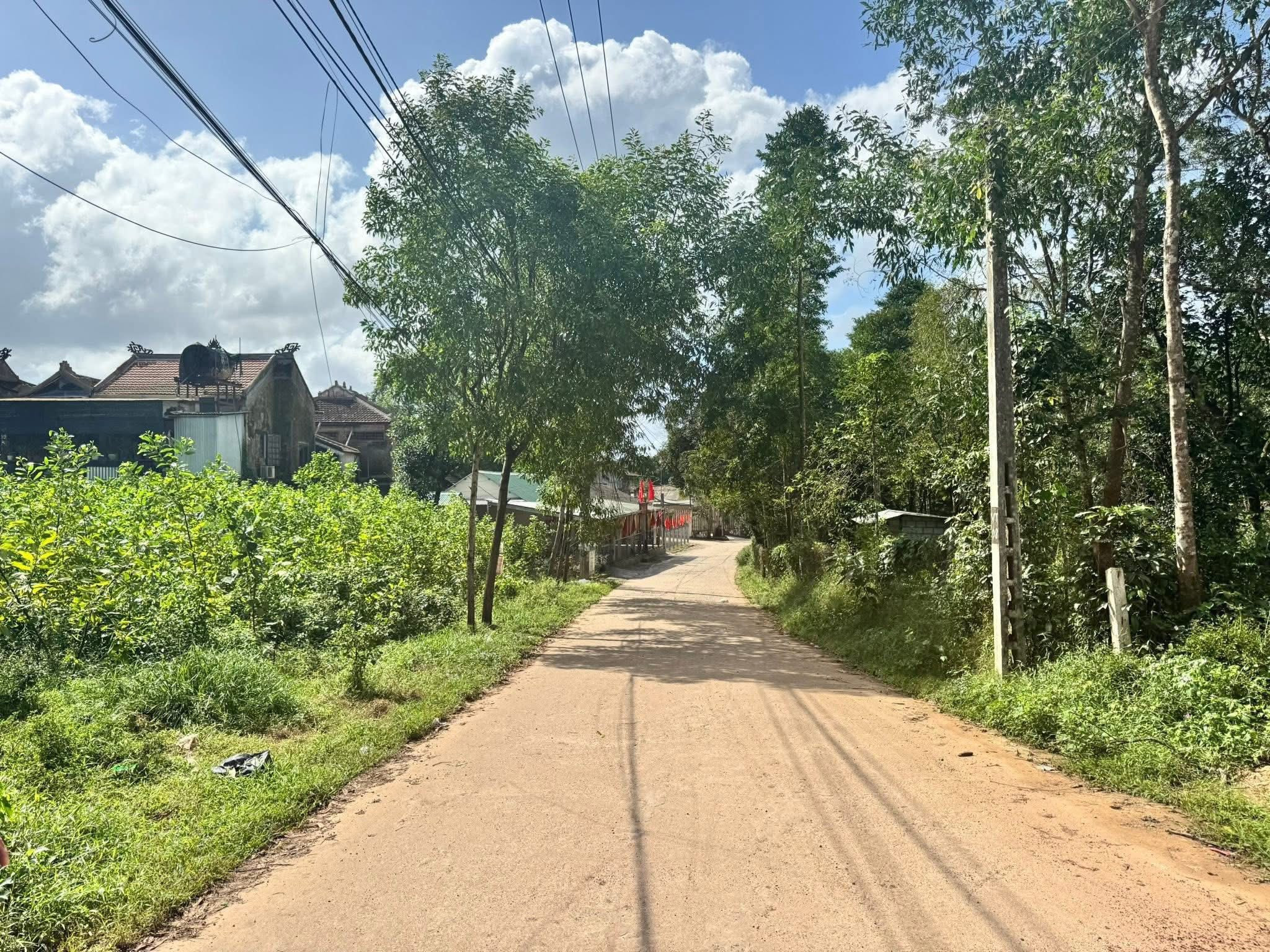 Đất Mặt tiền Vũ Ngọc Phan – Cơ hội đầu tư cực tốt!
