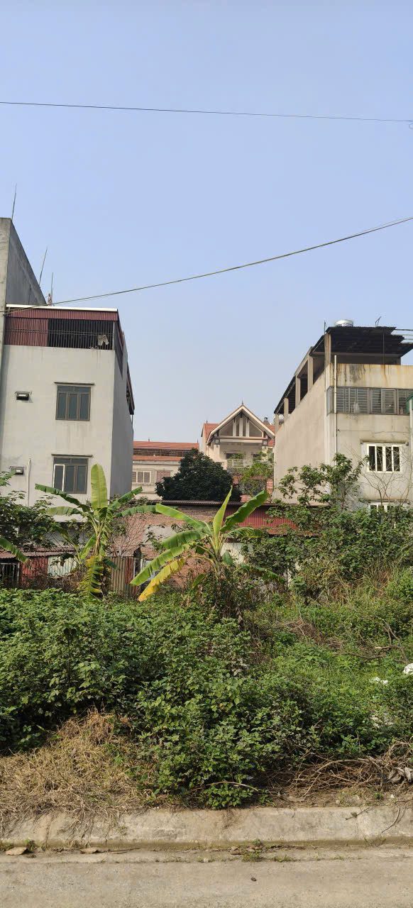 ĐẤT TRANG HẠ , TỪ SƠN BẮC NINH 120m2 MT5m