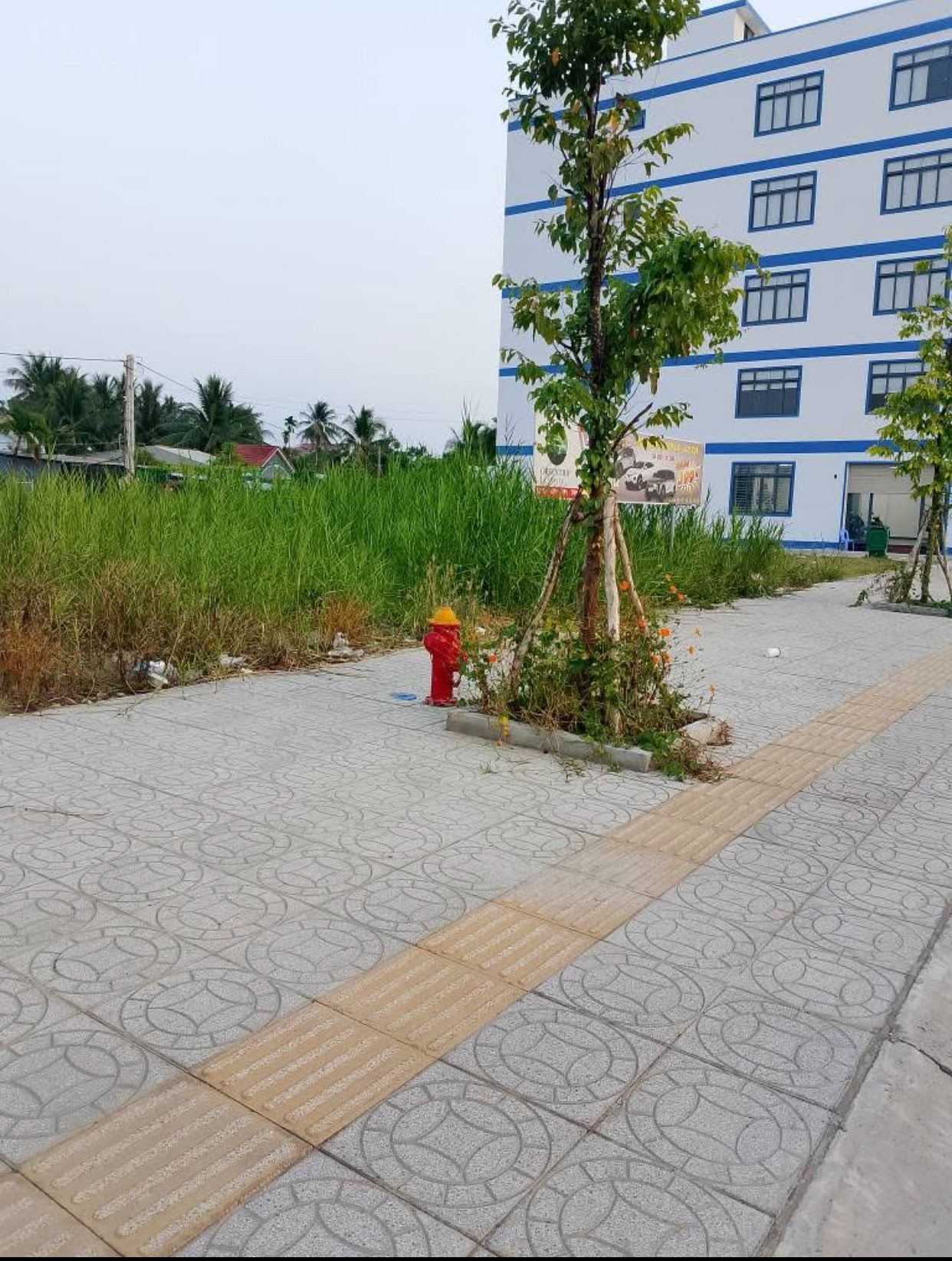 Bán đất mặt tiền đường D7 cách Nguyễn Công Bình 200m