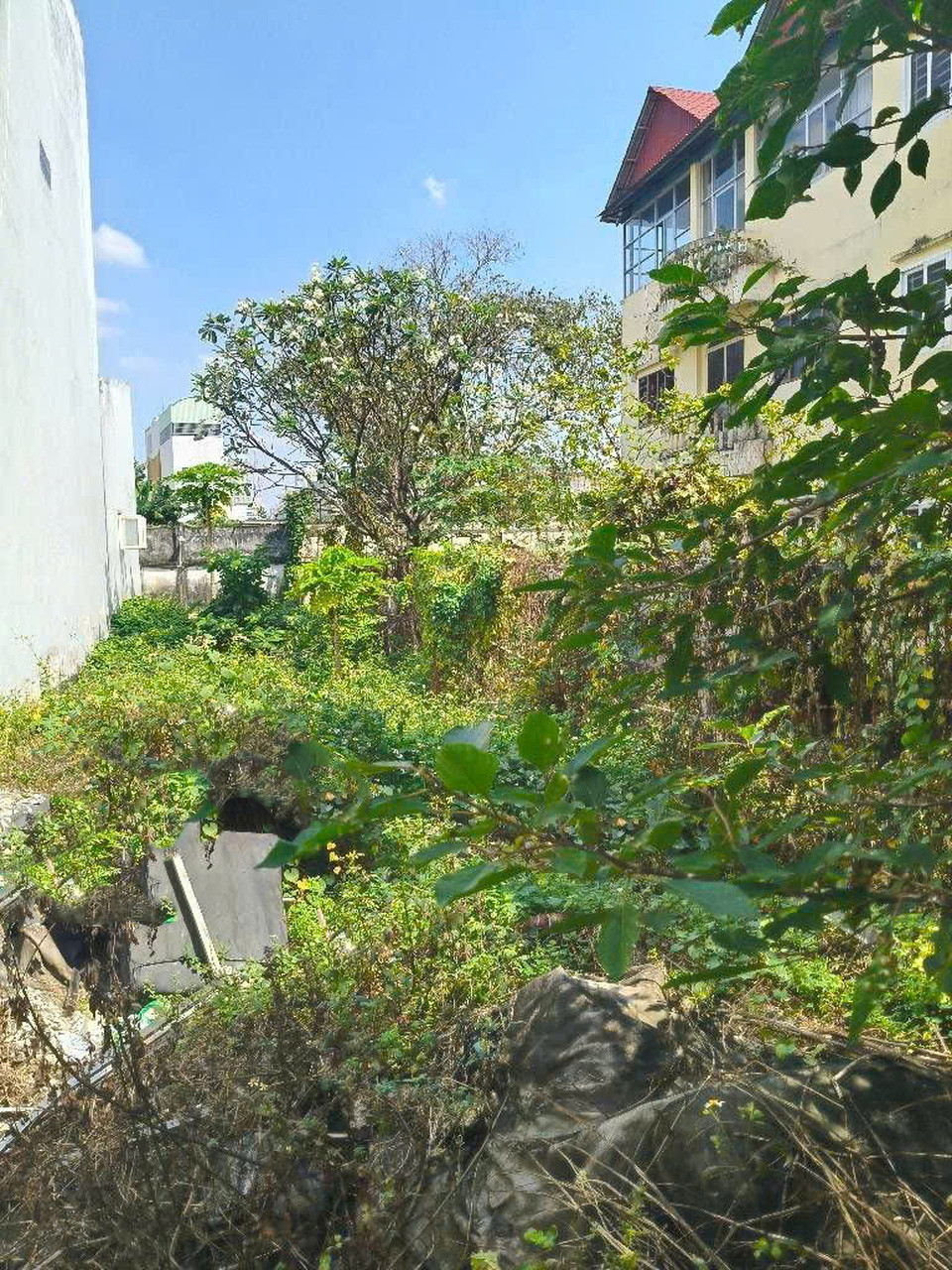 T1897 🔥 đất Mặt tiền Giang Cự Vọng Q12, SHR, Vuông, 5x24m, 9.x tỷ x nhỏ