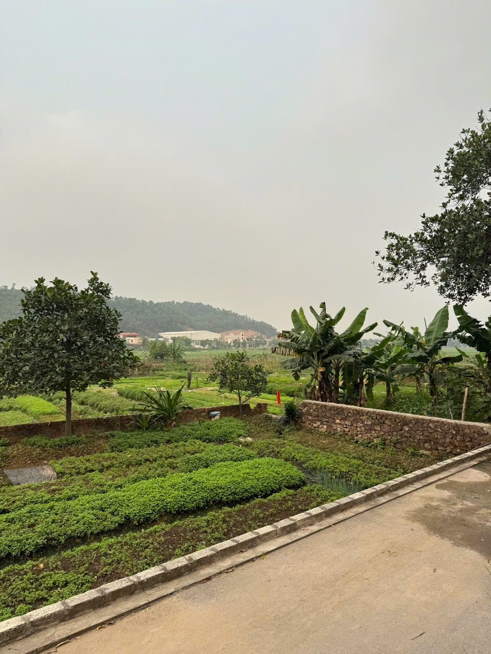 Bán lô thổ cư đất rộng rẻ hơn thị trường ở lãm trại