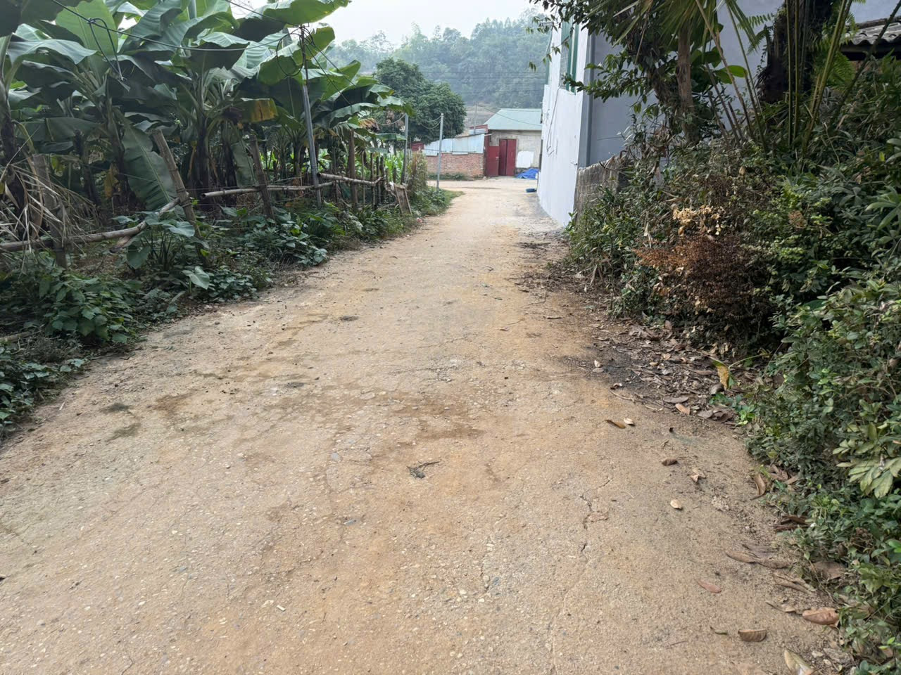 Bán đất 93m² ngang 5m giá 1.3 tỷ Phường Vân Phú