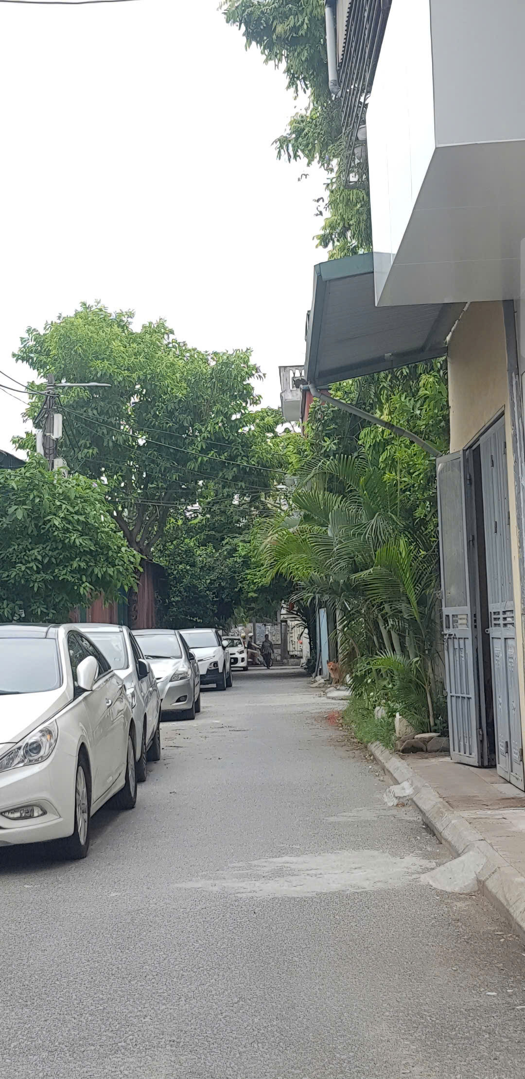 ĐẤT VIỆT HƯNG - LONG BIÊN | 68m² | MT 5.8M | Ô TÔ TRÁNH