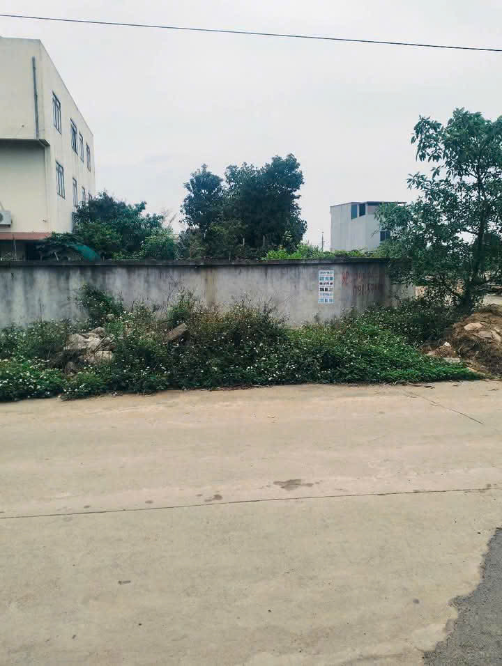 Bán đất 98m² ngang 6m giá 2.88 tỷ Phường Việt Trì