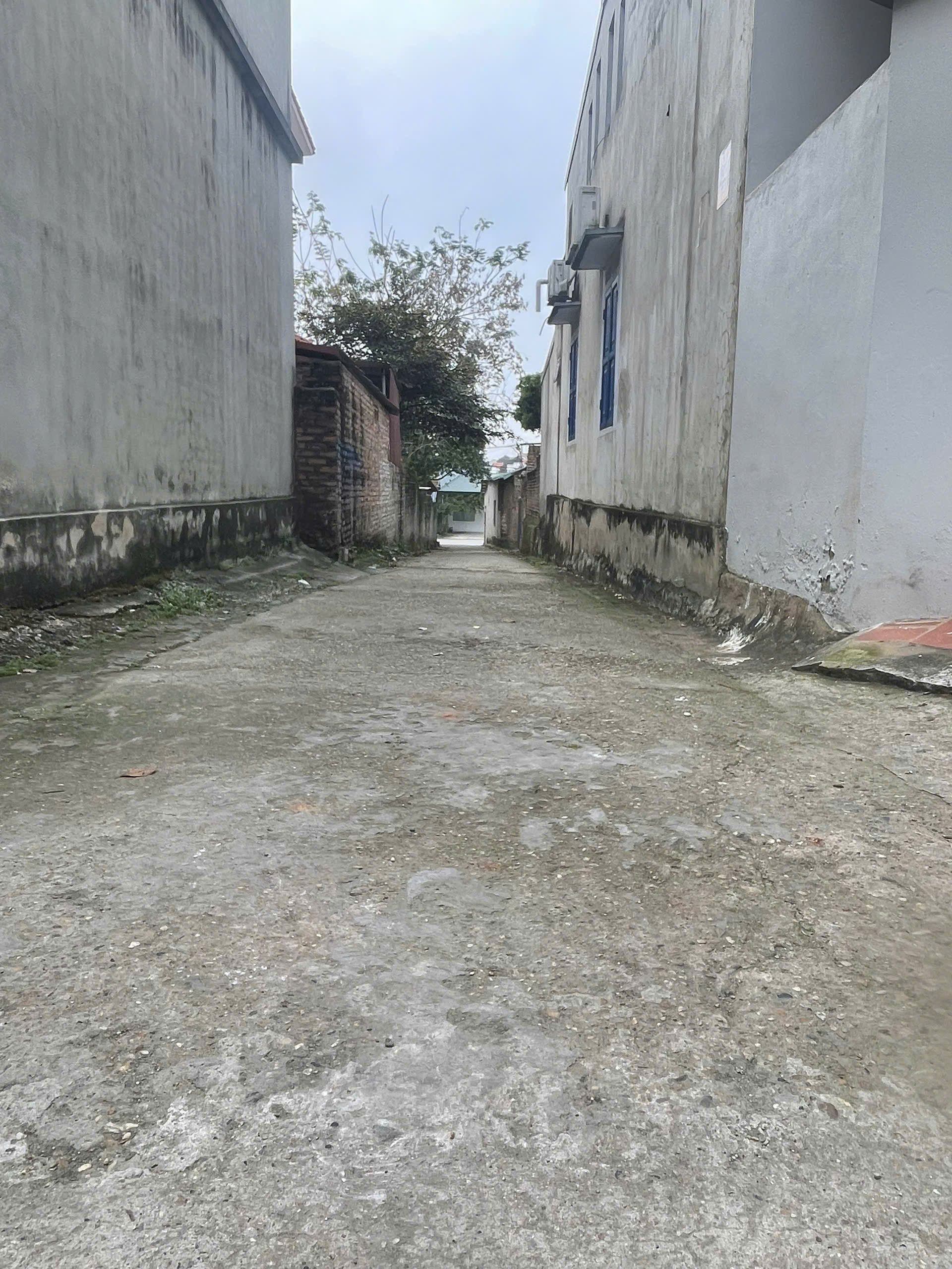 Bán đất 105.8m² có sẵn 50m² thổ cư ngang 5m giá 2.5 tỷ tại Phường Việt Trì