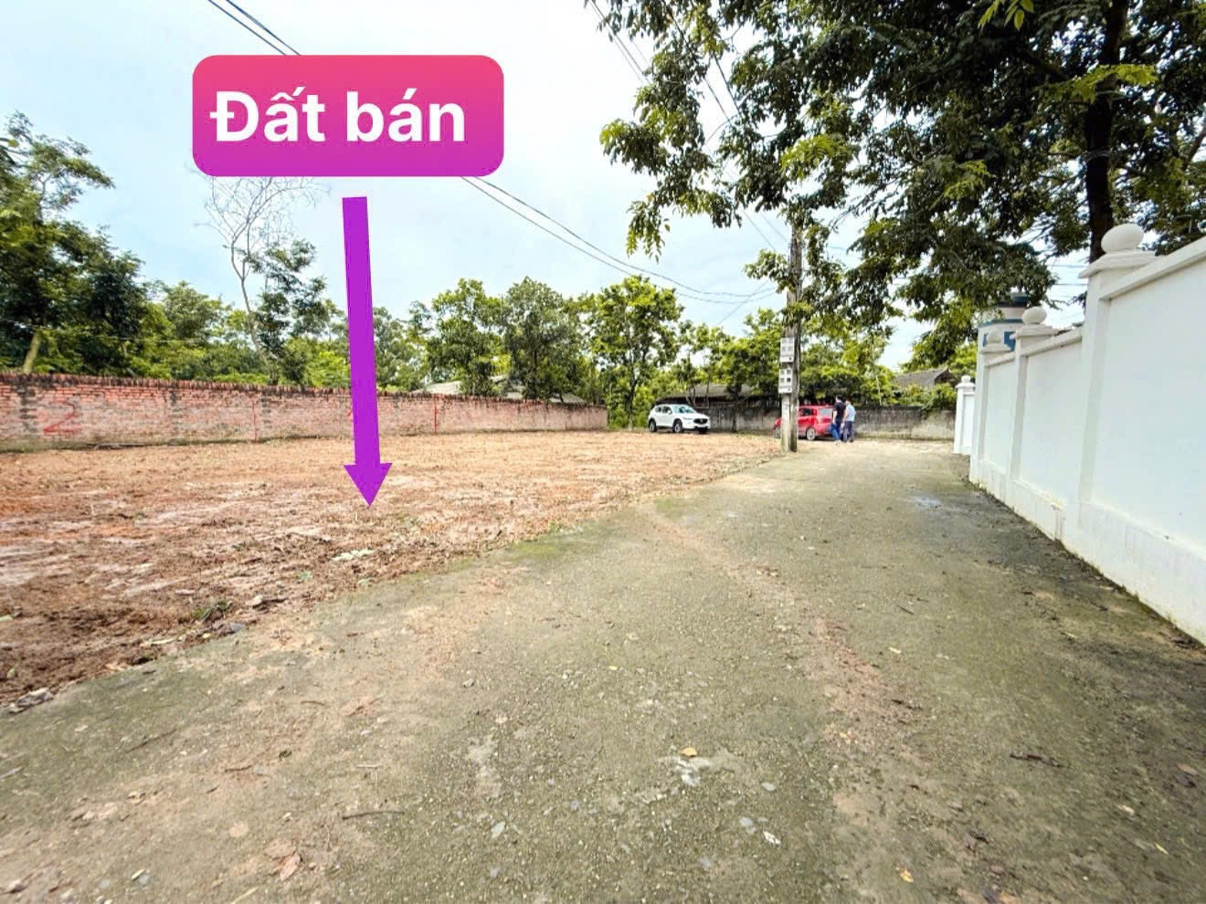 Bán đất
