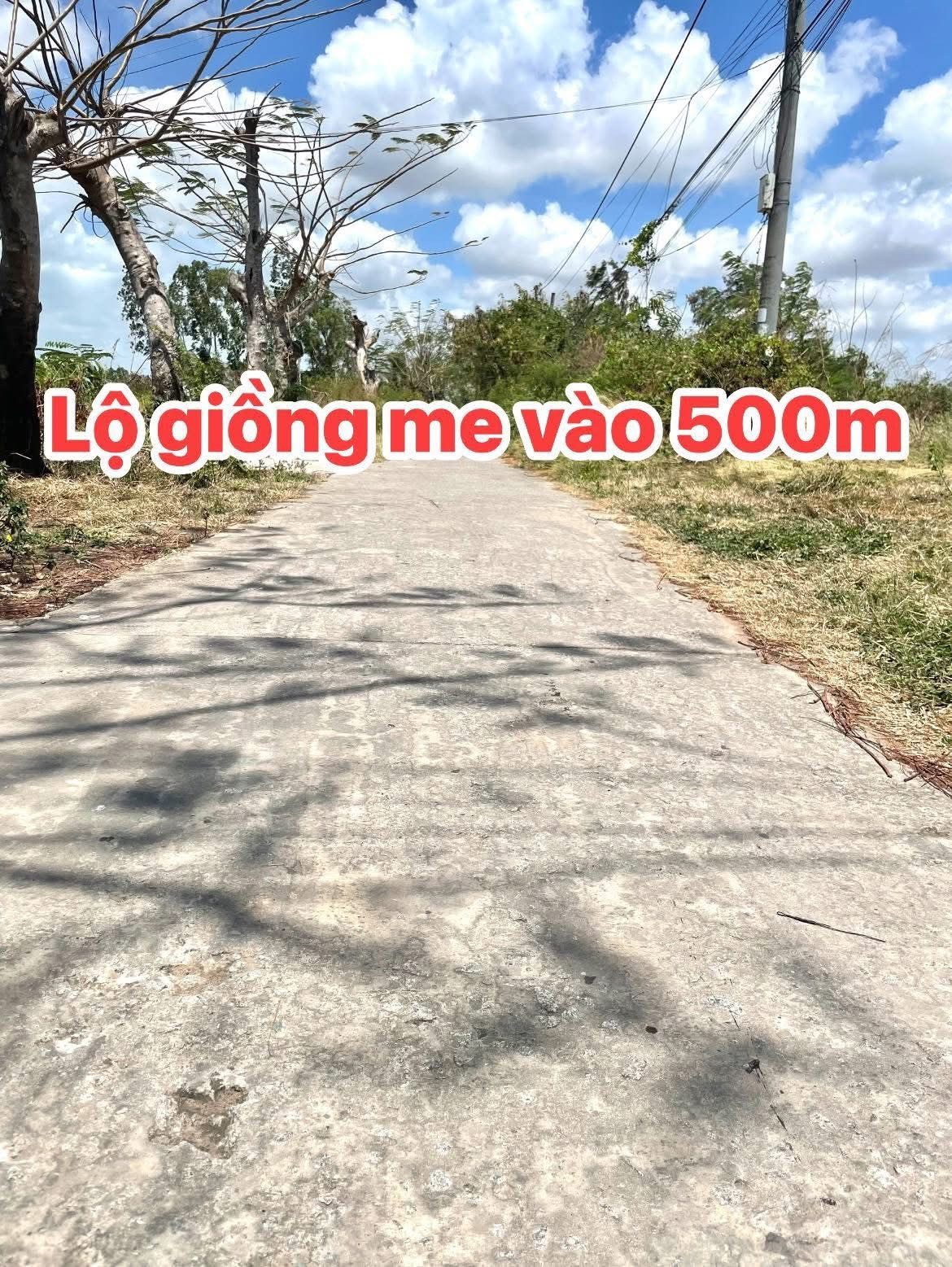Bán đất 840m² ngang 12m giá 1.2 tỷ tại Phường Vĩnh Trạch