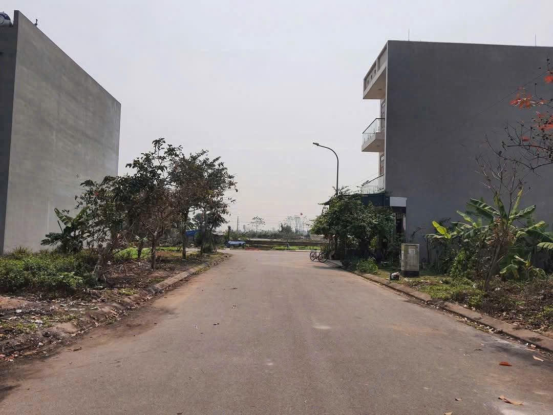 Bán 87m mặt tiền 6m đất xuân ô A lô áp góc nhìn vườn hoa. Cạnh tổ hợp các trường đại học. Phường võ cường tỉnh bắc ninh