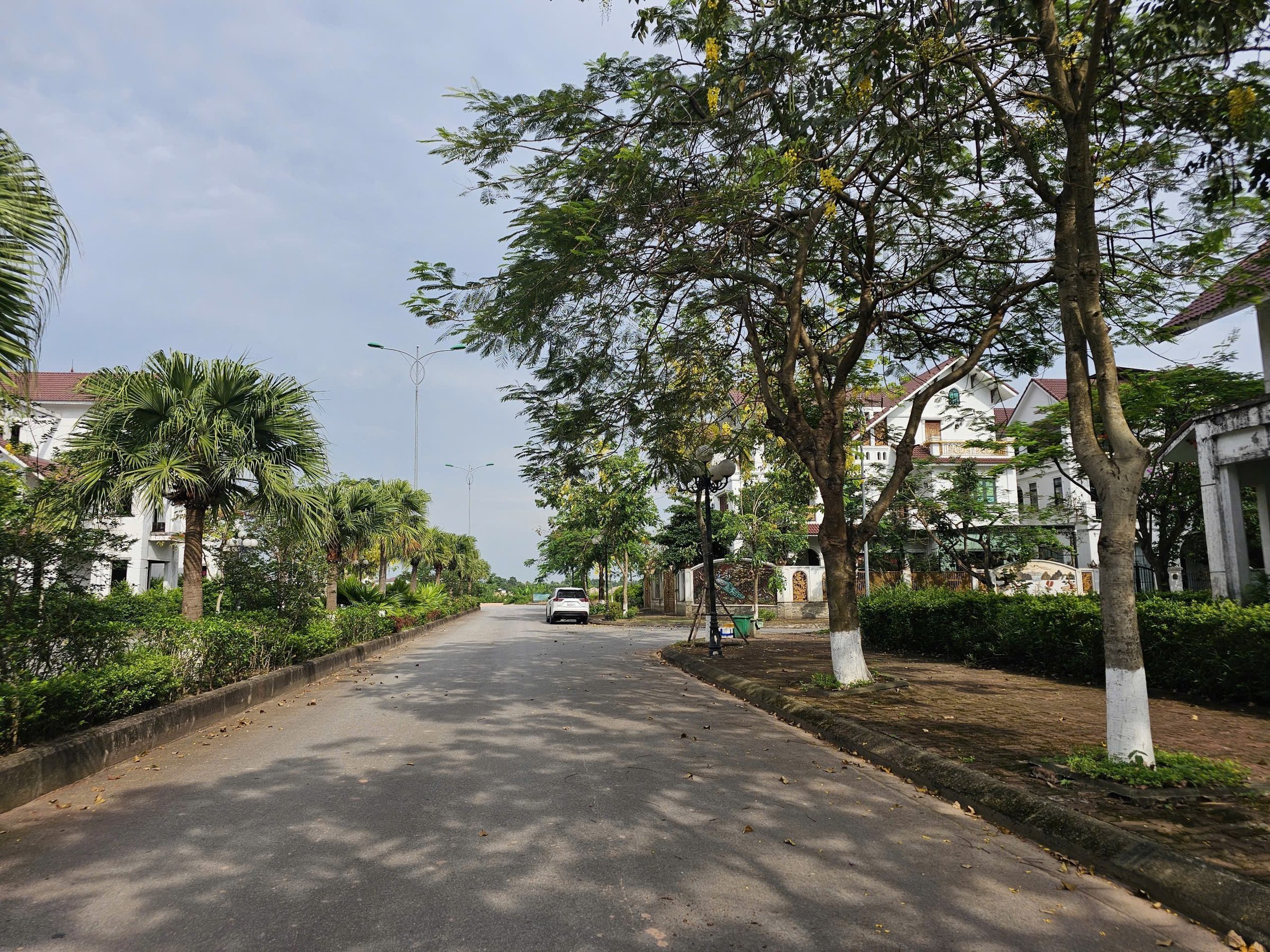 Bán căn biệt thự lô góc đã xây thô 3.5 tầng khu đô thị phúc ninh. Trục chính đường rộng 42m. Diện tích 392m mặt tiền 20m hướng đông nam & đông bắc. Phường vũ ninh tỉnh bắc ninh
