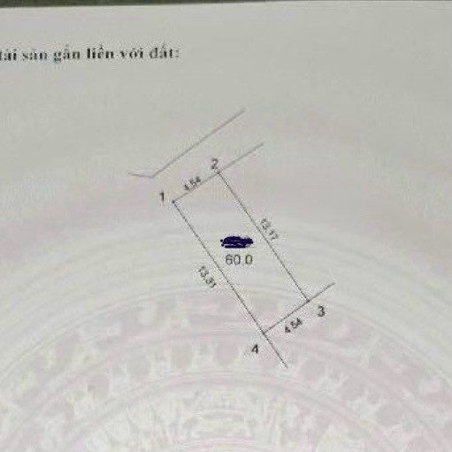 Gi ảm kịch sàn - Gần Công Viên Hoà Bình 60m2, 8.9 tỷ, lô góc, sát mặt phố.