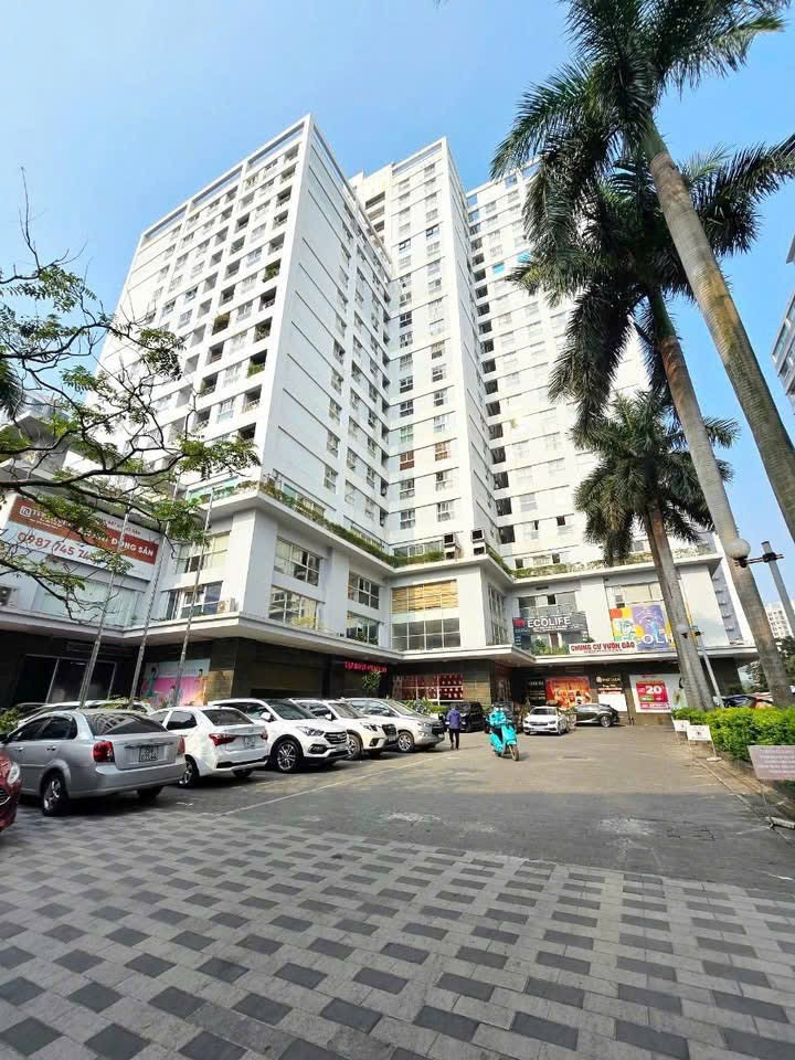 🏡 CHỈ 5,5 TỶ SỞ HỮU CĂN HỘ VƯỜN ĐÀO TÂY HỒ – VIEW THOÁNG, 20 PHÚT RA SÂN BAY