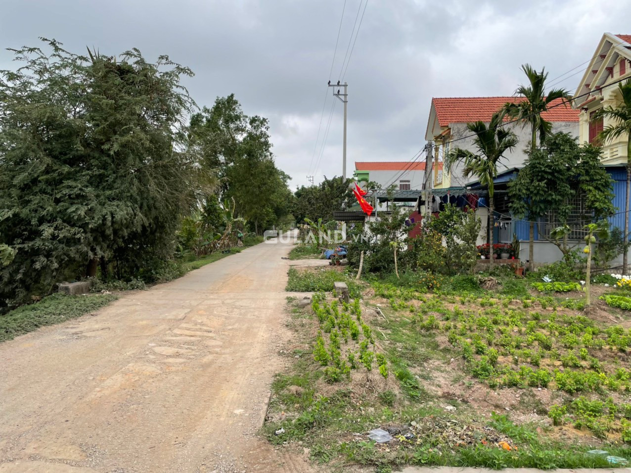 133m đất Qh đường Chống Bão Yên Hải giá chỉ 13tr/m2