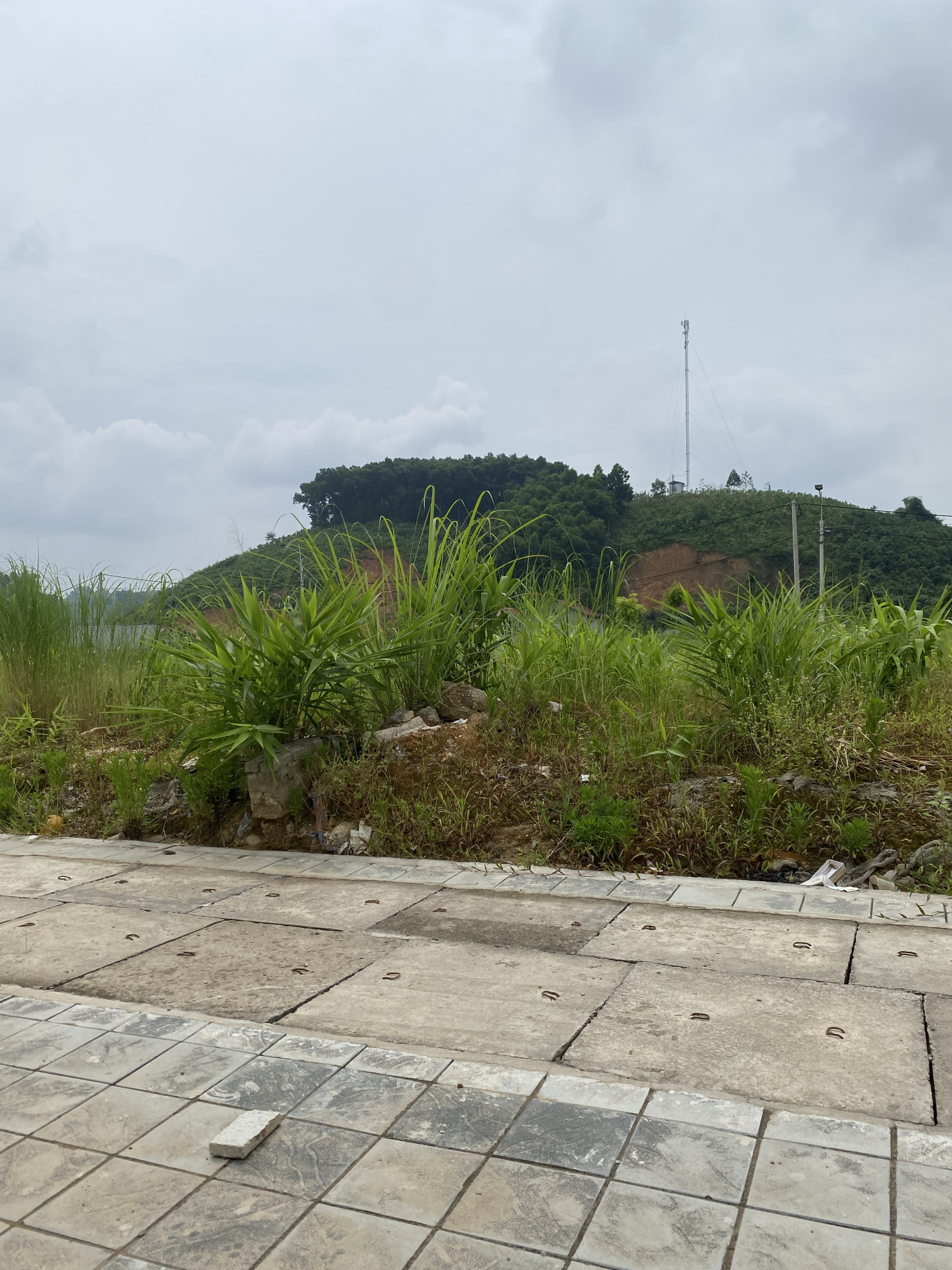 Bán đất 100m² ngang 5m giá 3 tỷ tại Phường Yên Ninh Thành phố Yên Bái