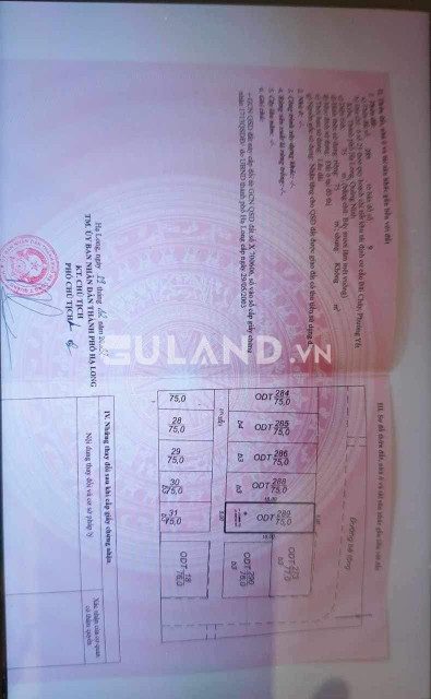 BÁN Ô ĐẤT KHU KHO GẠO YẾT KIÊU,HẠ LONG,QUẢNG NINH