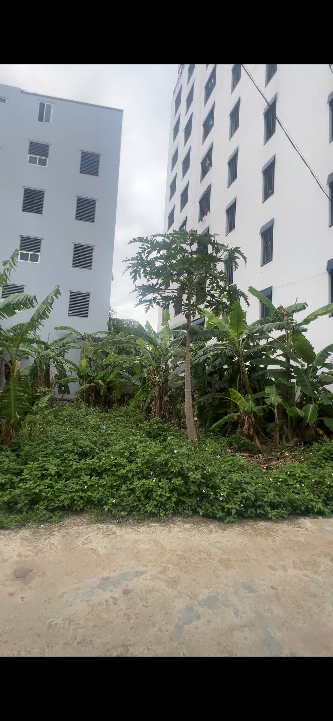 LÔ ĐẤT 70M² – MẶT TIỀN 6M – GIÁ TỐT TẠI HÒA LẠC