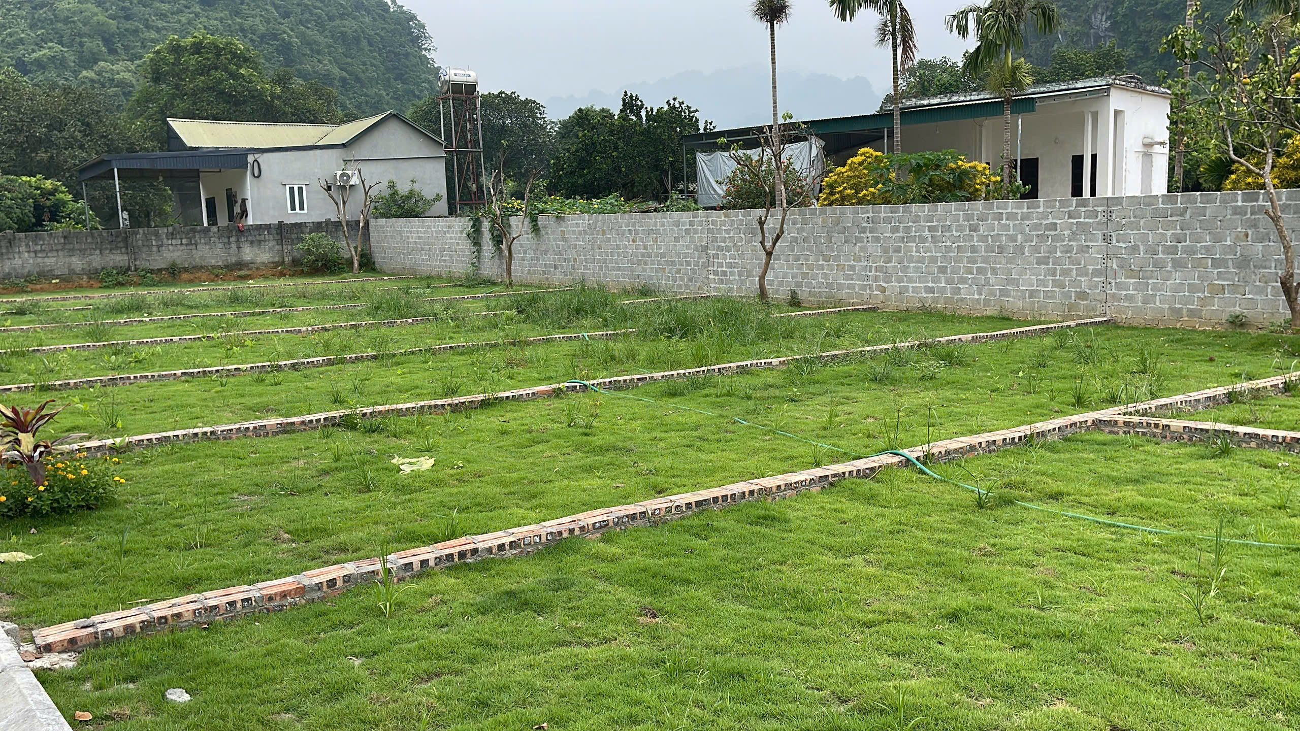 📈 465 TRIỆU Đất ở full thổ cư- 80m- ba hàng đồi, lạc thủy, hòa bình