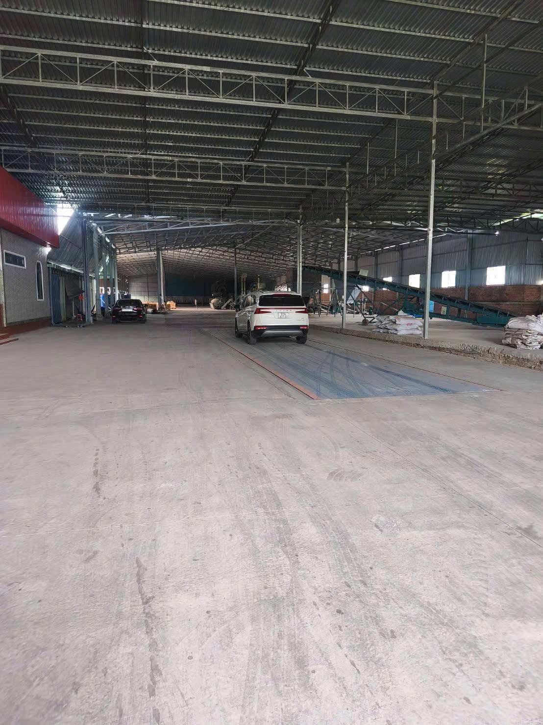 Cho thuê Kho, nhà xưởng 5000m²  có điện 3 pha,PCCC giá 200 triệu/ tháng tại Bến Tre