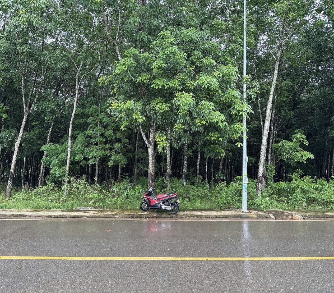 2 LÔ LIỀN KỀ MẶT TIỀN ĐẸP NHẤT ĐƯỜNG HUỲNH VĂN BÁNH – CHƠN THÀNH, DN 
11tỷ Ngang 53m – Dài 110m