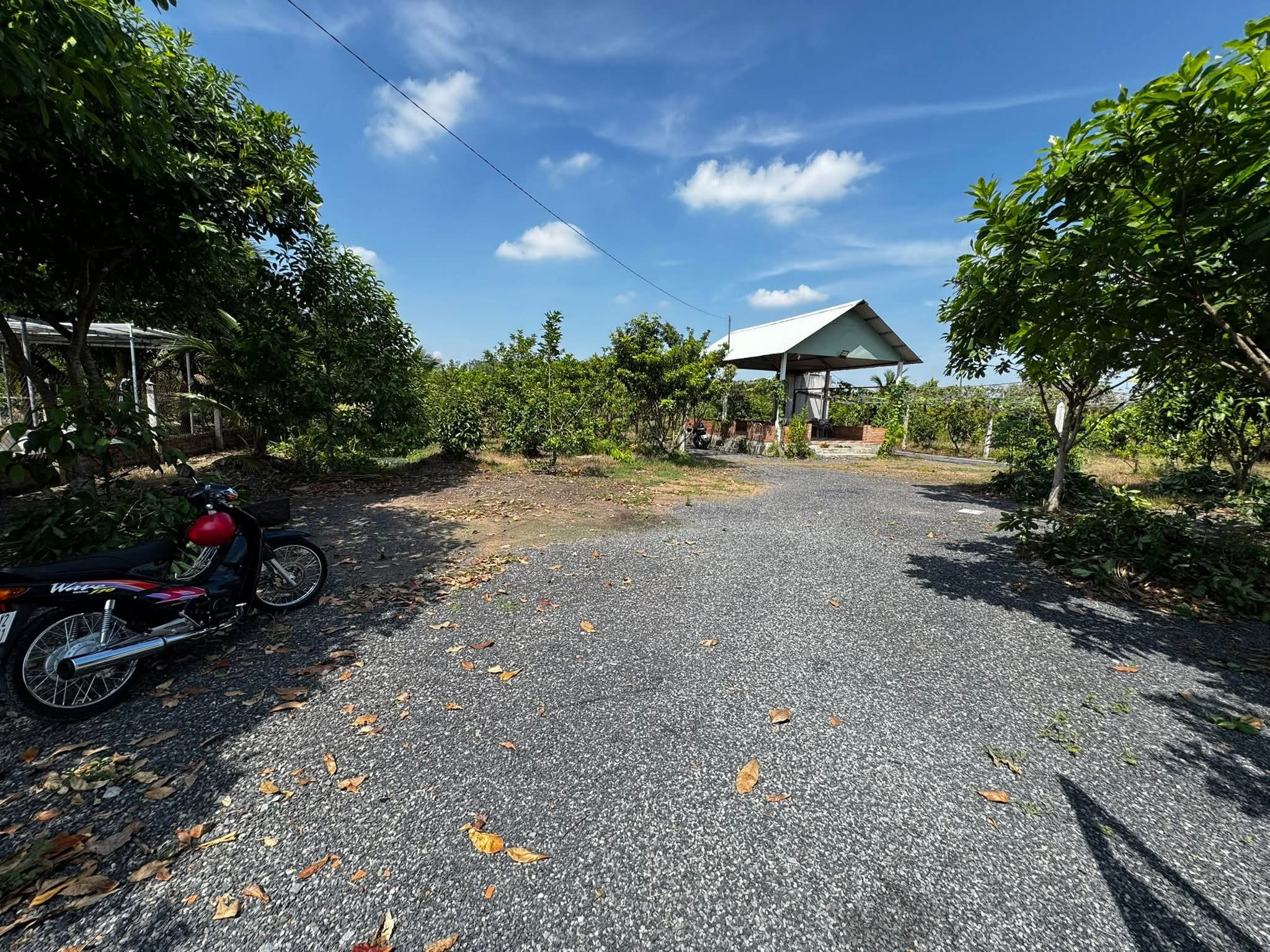 Bán Đất 120m² thổ cư 120m² giá 1.2 tỷ tại Thị trấn Củ Chi Huyện Củ Chi TP. Hồ Chí Minh