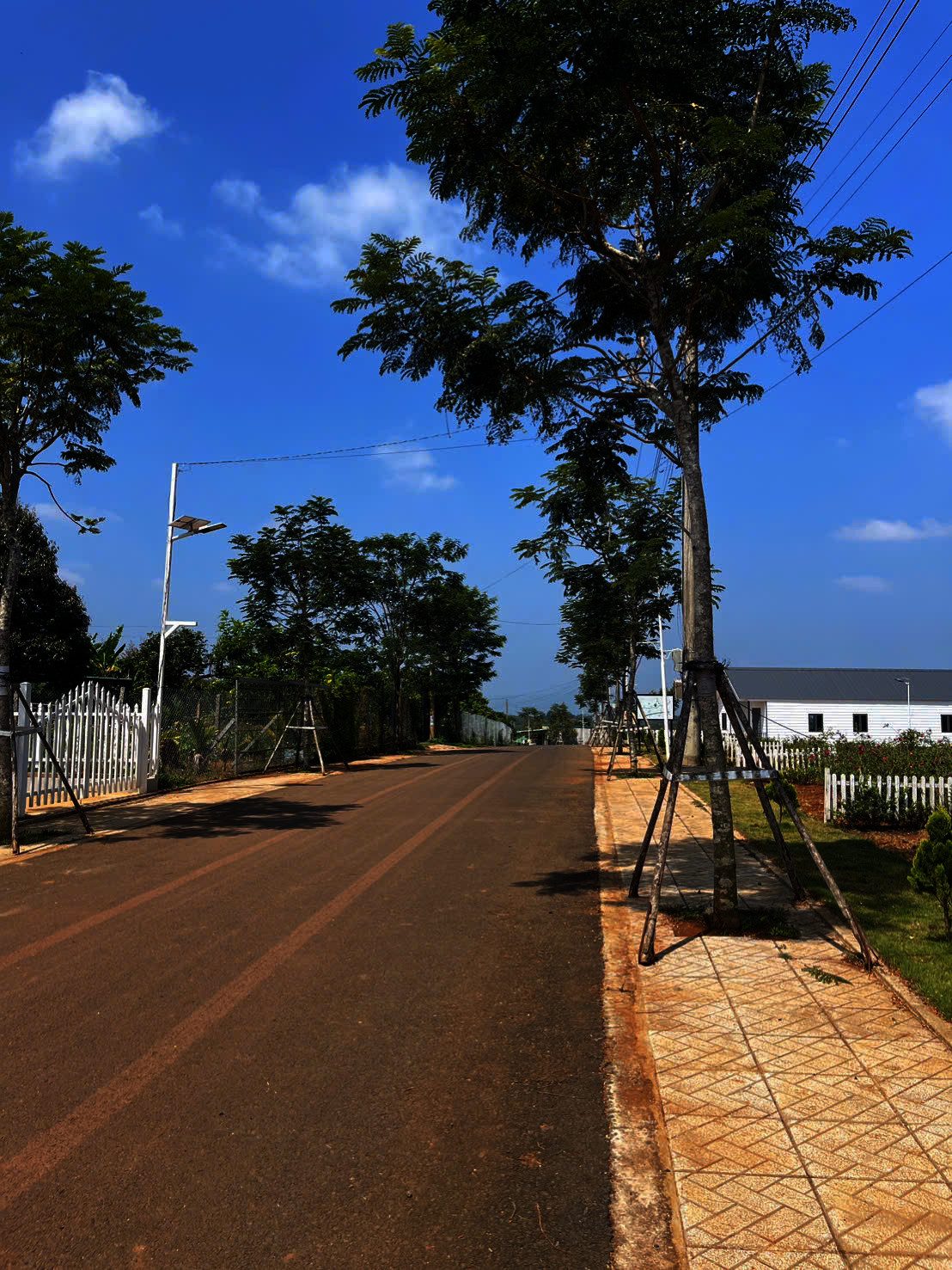 🌄 BÁN ĐẤT VÙNG VEN ĐÀ LẠT – DI LINH GIÁ TỐT, ĐẦU TƯ SINH LỜI 🌄