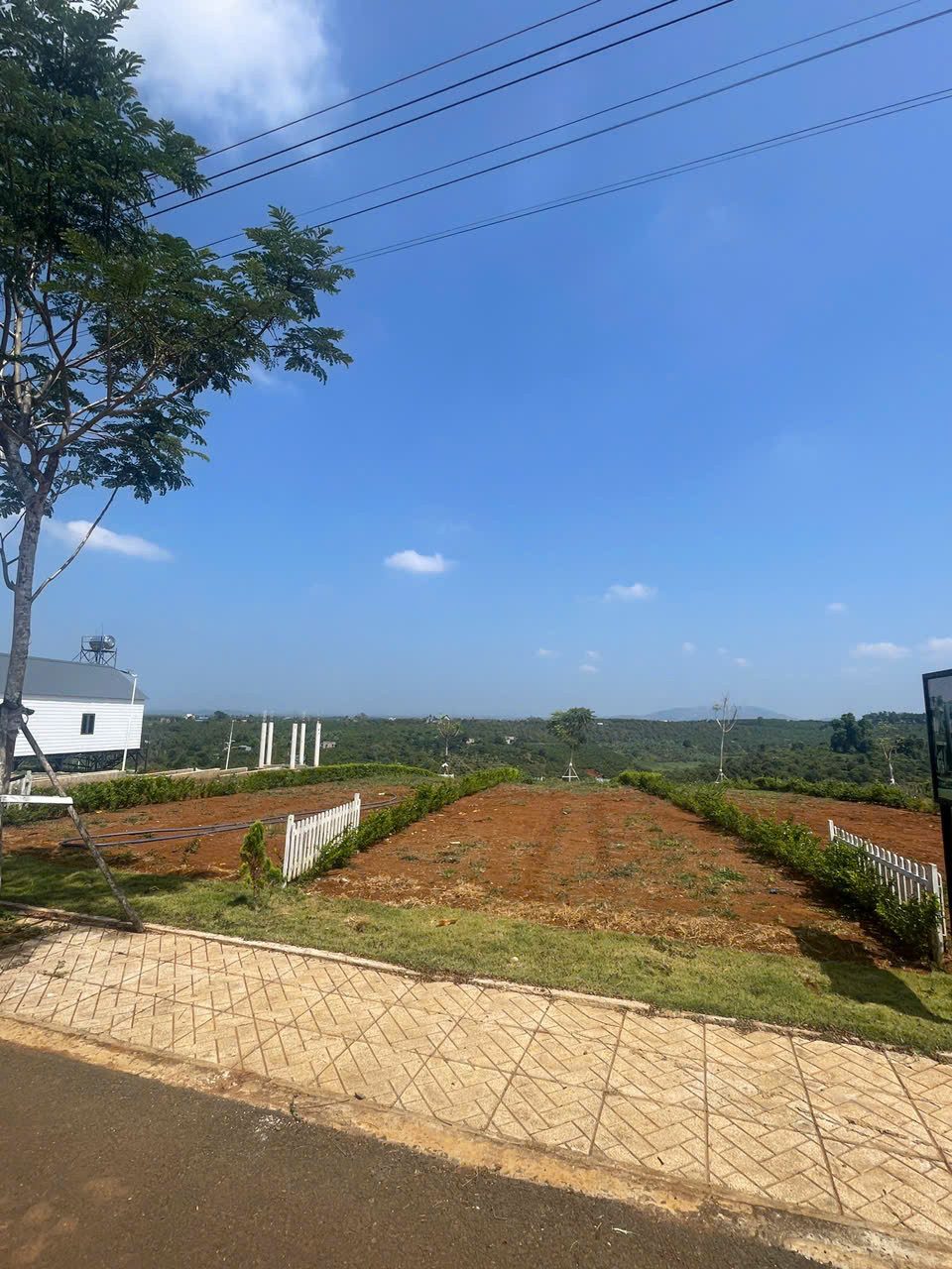 🔥 CHỈ 300 TRIỆU – SỞ HỮU NGAY 100M² ĐẤT DI LINH, VÙNG VEN ĐÀ LẠT 🔥
