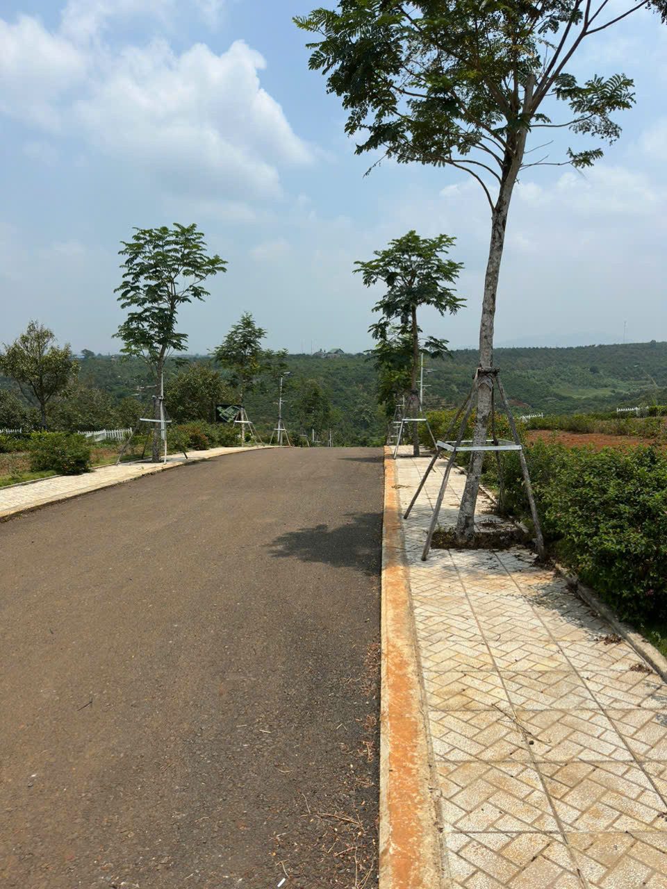 Đất ven Đà Lạt – giá mềm chỉ từ 2xx triệu, đầu tư nghỉ dưỡng quá đẹp