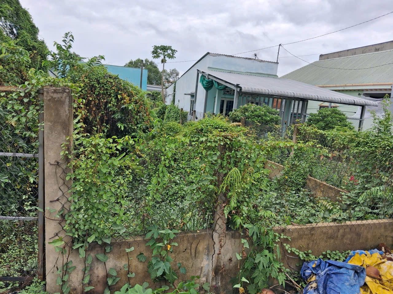 Bán Đất 242m² thổ cư 242m² giá 1.3 tỷ tại Thị trấn Đức Hòa Huyện Đức Hòa Long An