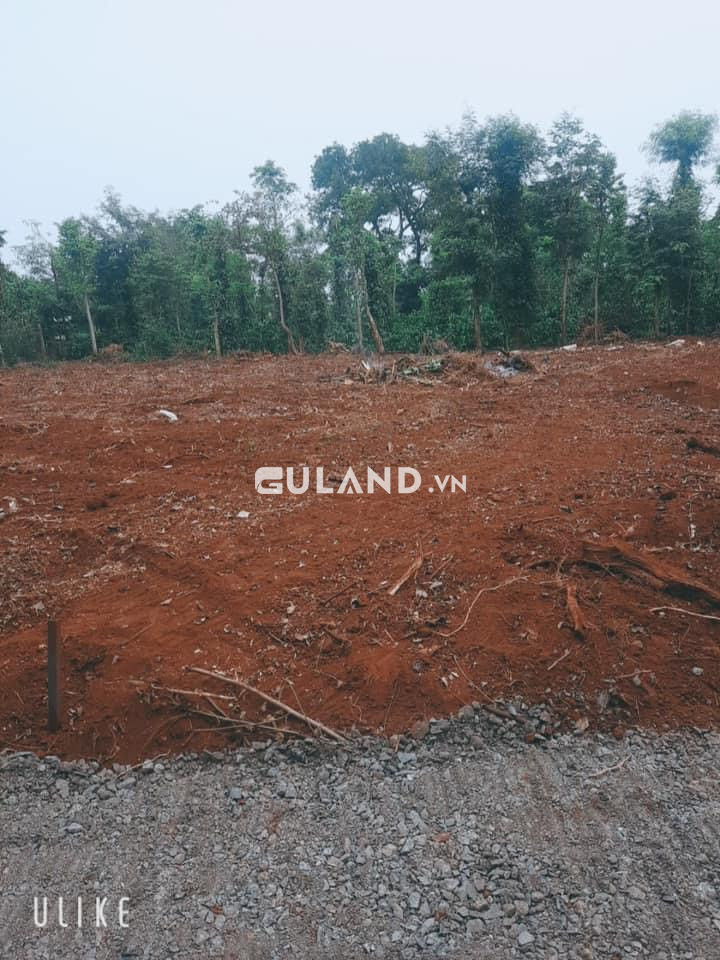 🎯Bán đất thổ cư, dt 6*26 tc 40 giá bán 499tr tại Thị Trấn Ea Pốk🎯